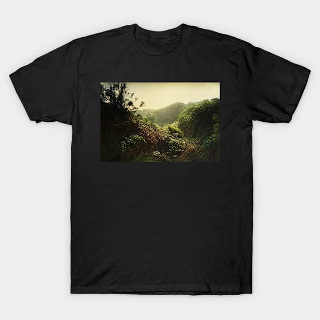 Landscape near Fish Creek T-Shirt by rozmcq